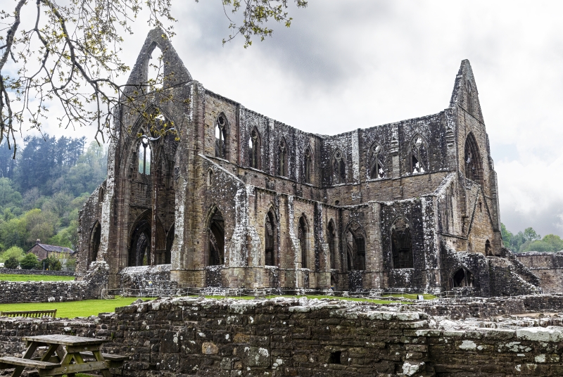 Tintern Abbey, Wales May 2022